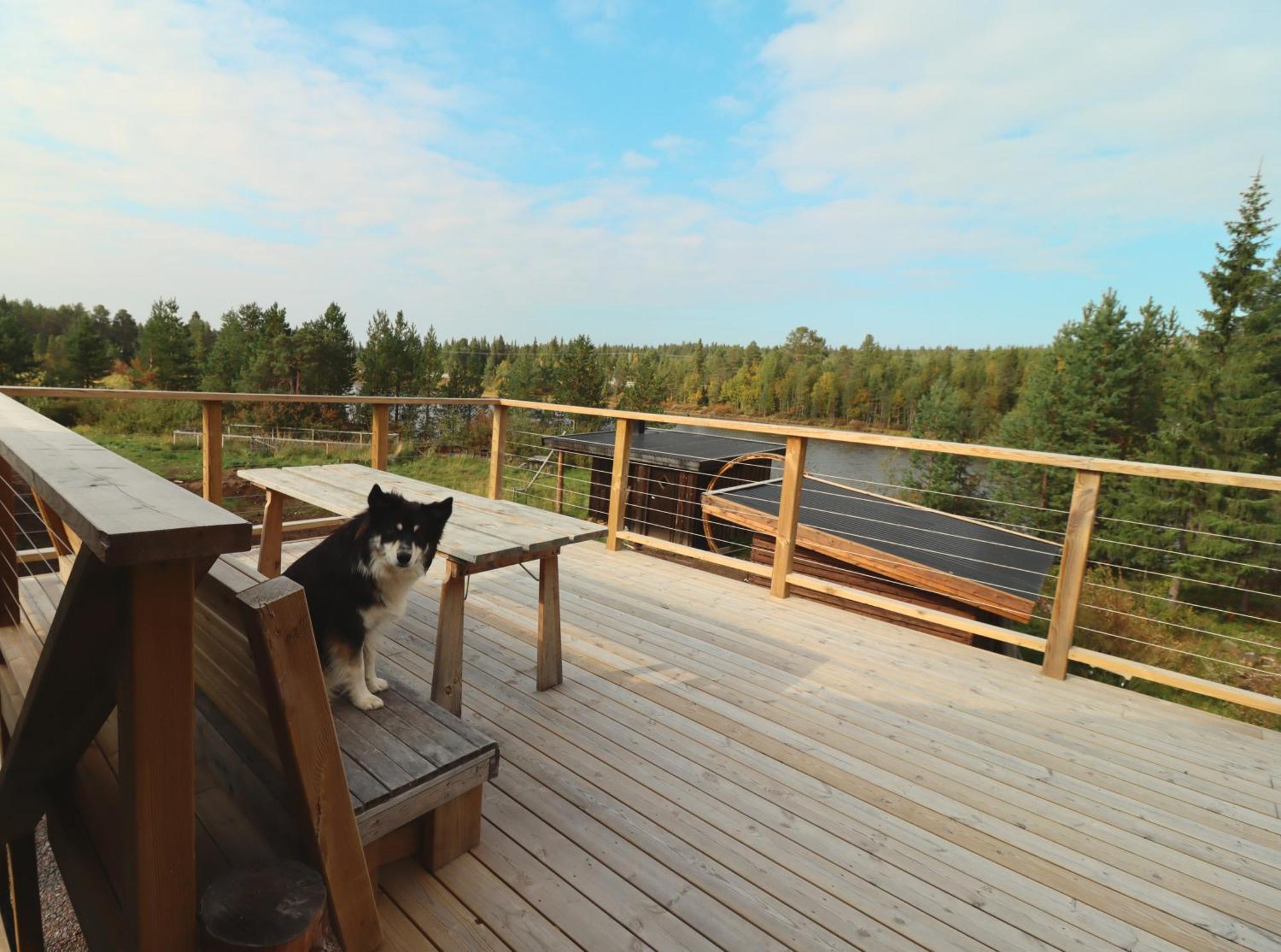 Cozy Cabin Styled Loft Kiruna Buitenkant foto